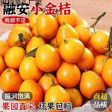 ���������b���V����Ƥ������rˮ�����Ӯ����Fժ����С��̽۽���