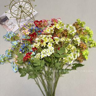 ������ͩ��c���滨С�黨��Y�ò����廨�ҾӾƵ겼���ٻ����l