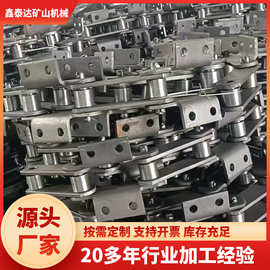 高承载大节距输送链 NE30 NE50 NE100斗式提升机链条 板式链条