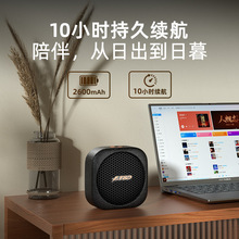 户外徒步骑行IPX5防水蓝牙流行音乐大功率音响复古新品 奋达RW10