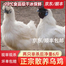 ���u���r�F�������r��ɢ�B�����u���u���u��ֻ�����u��ĸ�u�ߵ��u
