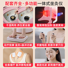 Far-infrared moxa warming chair household instrument cold-dampness steaming moxa warming chair seat cushion dry-wet two-use backrest seat bucket