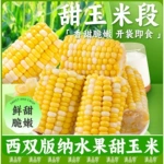 滇品客农科院云南水果玉米版纳甜玉米段学生早餐免煮开袋即食袋装