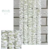 White, orchid