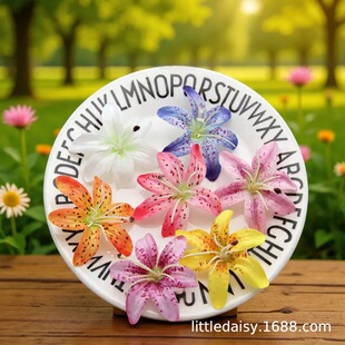 ����С�ٺϻ��佁��DIY�l�c�b��^������͹��L�ֹ����ϰ�