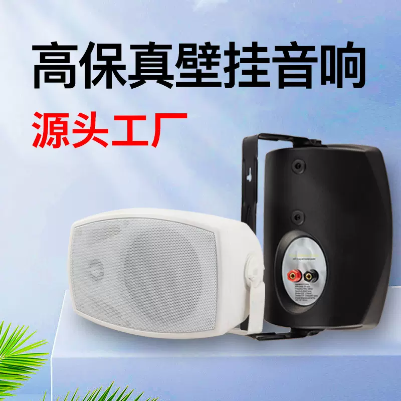 壁挂音响 公共广播音箱 定阻定压音箱门店超市商场会议 壁挂音箱