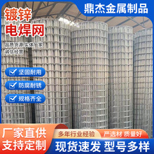 镀锌电焊网养殖防护镀锌钢丝网片冷热镀电焊网片焊接网方格网批发