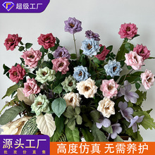 3�^�T��С�¼����滨�Ҿ��b[����c���������ֹ�����ˇ�廨