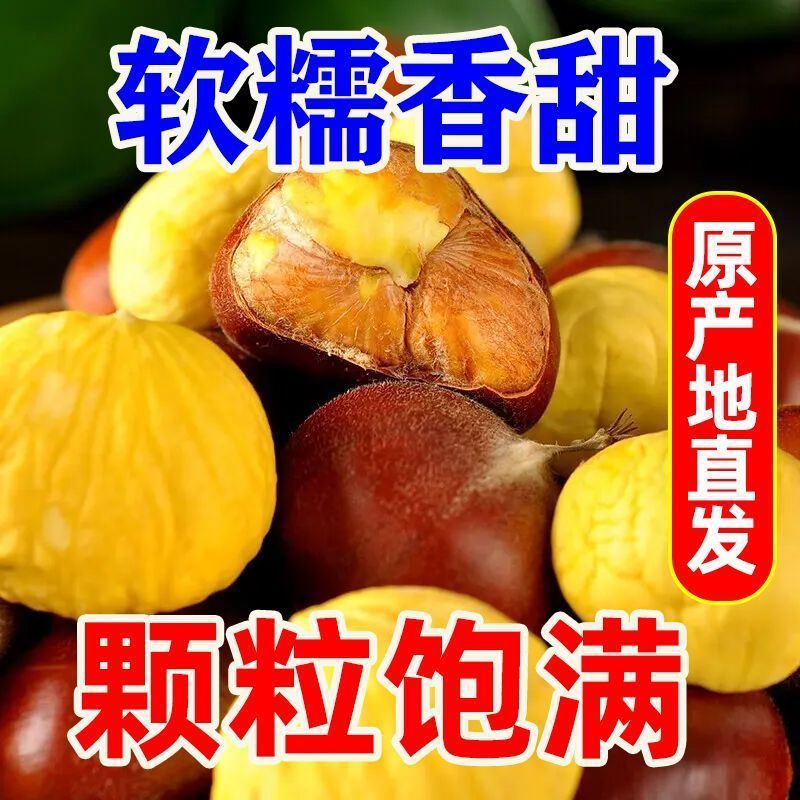 핫 세일: 1.5kg개의 큰 곡물[45-50개/진] 슈퍼마켓 품질 정통 Qianxi 기름밤[백년 된 나무]