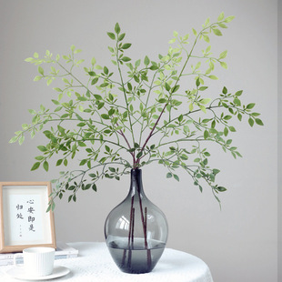 ��֧������ܛ�z���滨�Ҿӿ͏d�[�������쾰����������Gֲ���l