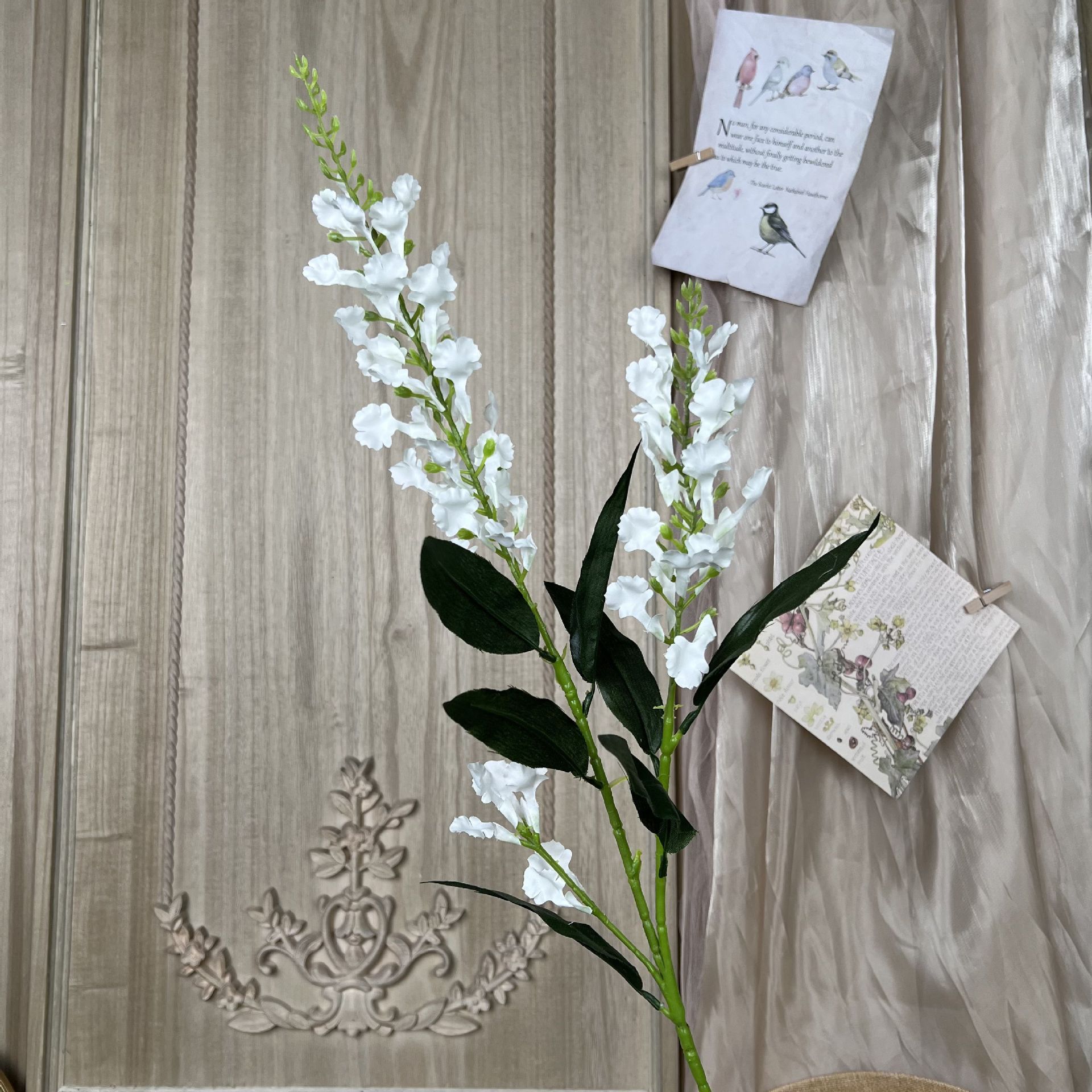 DD-Lavanda-Branco