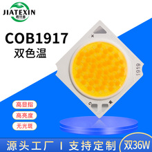COB1919双色温COB光源36W暖光白光工程款智能调光射灯LED灯珠24W
