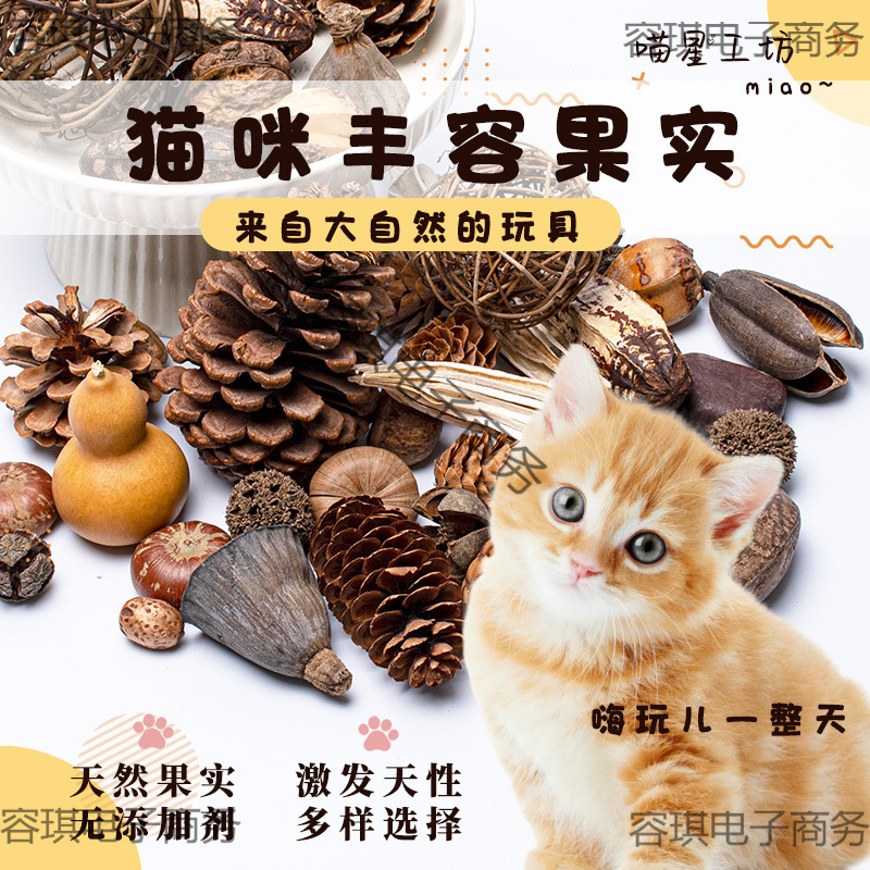√【18元批发】猫咪丰容果实干果玩具橡果松果宠物用品天然植物丰|undefined
