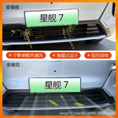 One Piece of Geely Galaxy: Automobile anti-insect net