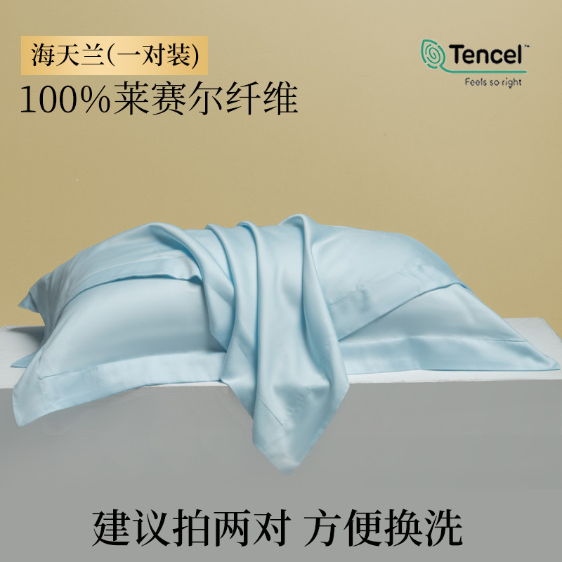 Funda de almohada de verano Tensi Funda de almohada de seda Un par de fundas de almohada de seda de hielo 48cmx74cm2024 Nuevo 2