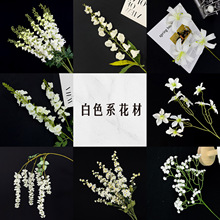 ��ɫϵ��c���滨�Ļ�Y���û���c�û�õ������m�ٺϝM���ǽ���