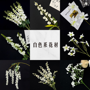 ��ɫϵ��c���滨�Ļ�Y���û���c�û�õ������m�ٺϝM���ǽ���