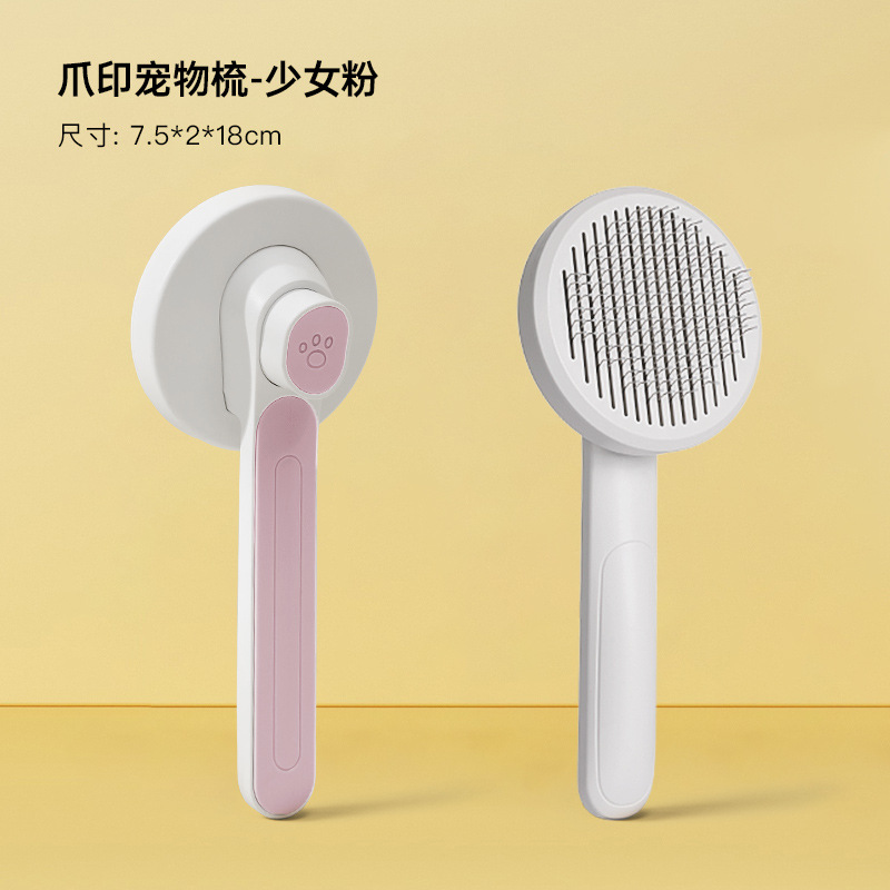 화이트 + 파우더