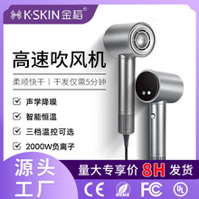定制批发金稻高速吹风机电吹风冷热风家用负离子大功率理发店专用