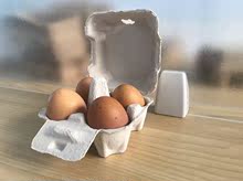 4枚白色紙漿蛋盒蛋托紙漿模塑環保講解洋雞蛋柴雞蛋笨雞蛋雞蛋禮