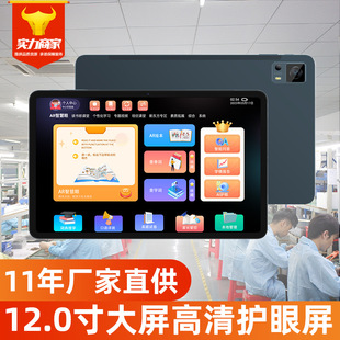 SOURCE Direct supply tablet computer student learning machine large screen 10.95-inch 11.97-inch 112AI study room software