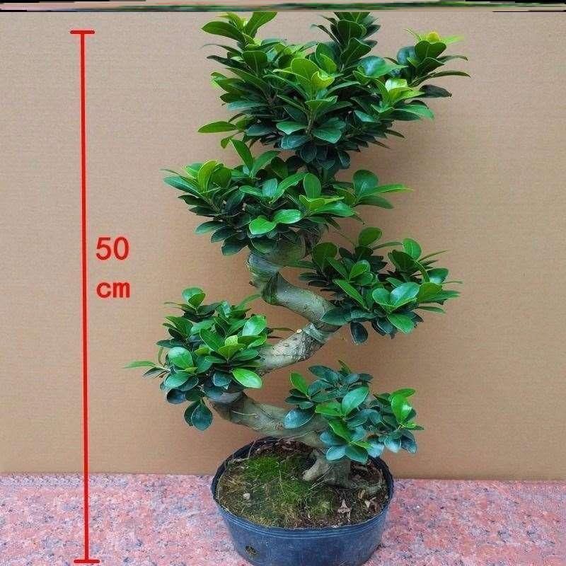 9700fc0b-a6ae-44f7-9fc3-9a26bd7ea534.jpe