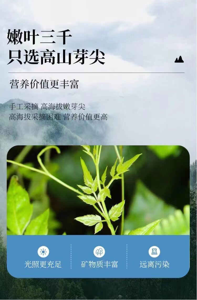Wild Mei Jia Mei Tea Premium Grade Loose Leaf Herbal Tea from Yongshun Hunan for Daily Hot Brewing overview