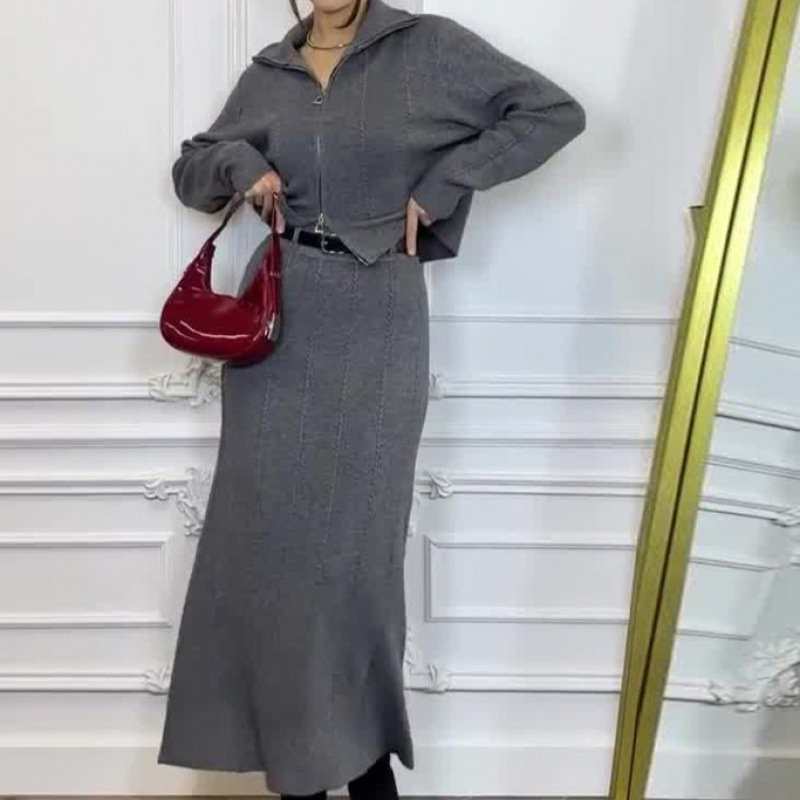 2025春の新型越境欧米の外国貿易の婦人服の純色の長袖のファスナーのコートの半身のスカートのファッションのスーツ|undefined