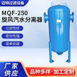 新乡厂家直供 旋风汽水分离器 型号MQF-250井下适用