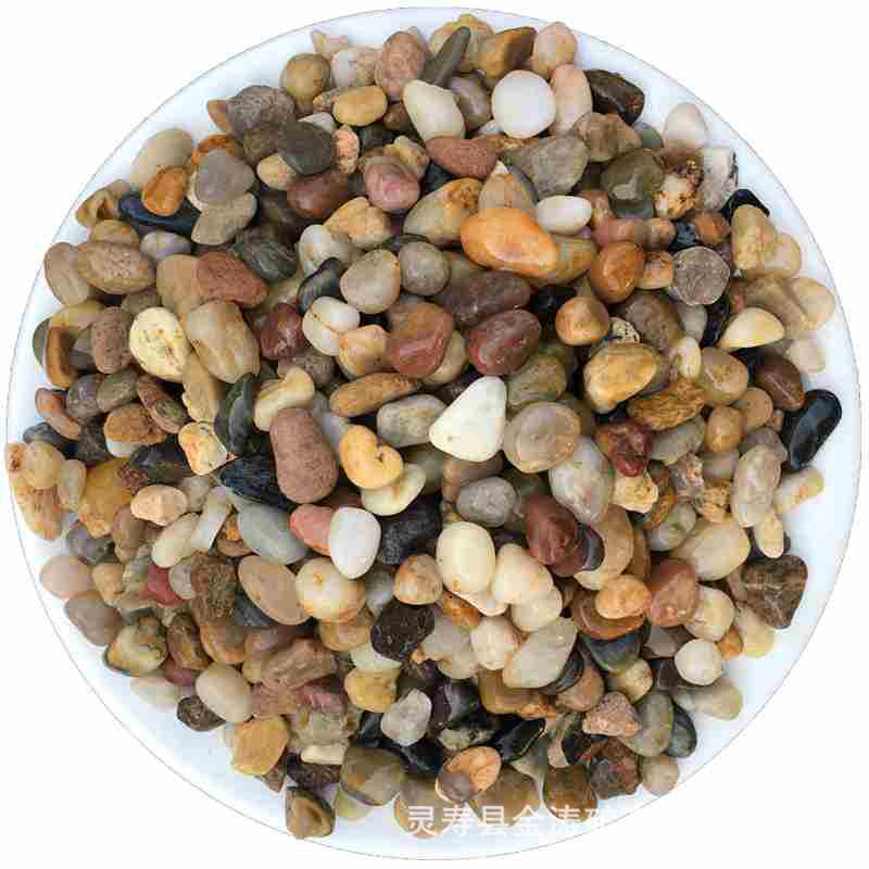 e3defb34ff3bda17657c356024f169