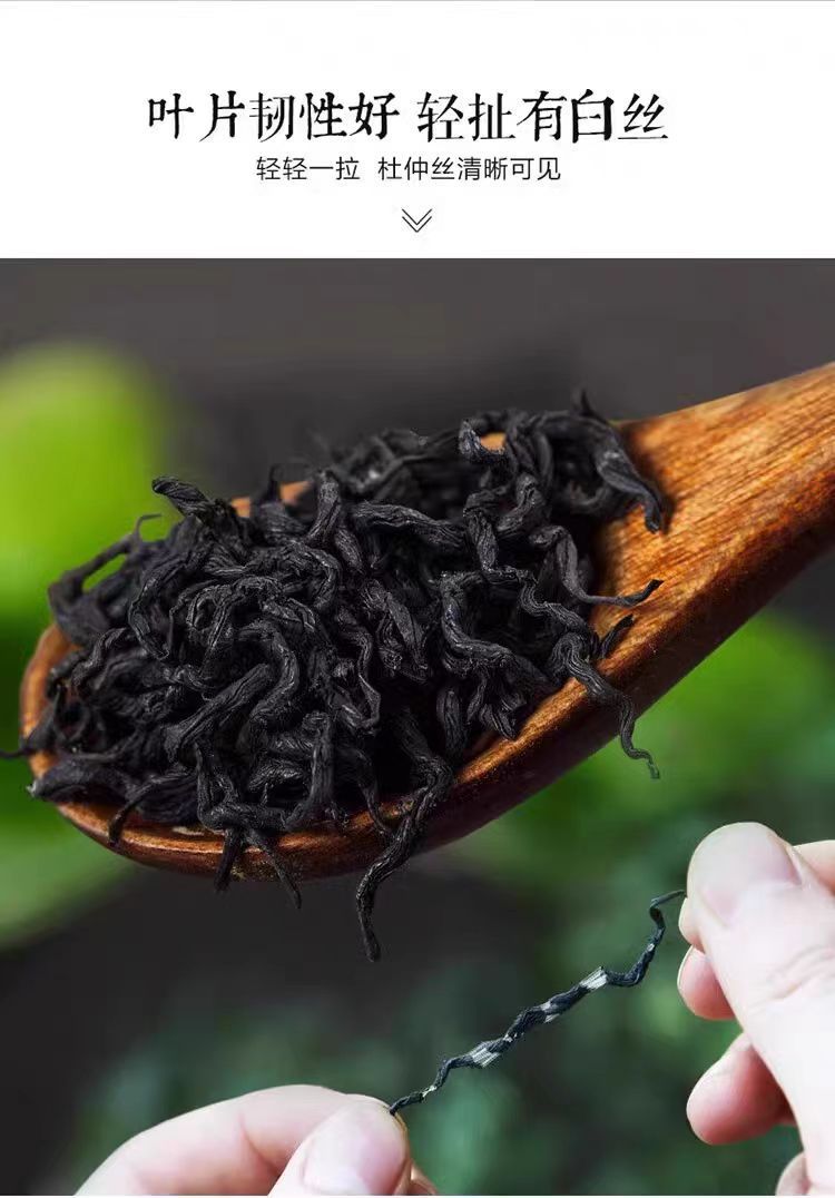 Eucommia Leaf Tea Du Zhong Ye 50g Jar Dried Herbal Tea Leaves for Daily Brewing quality and texture