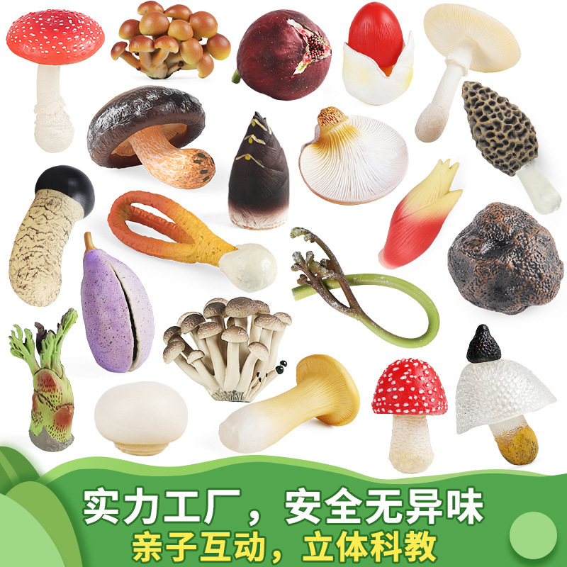 Playhouse Vegetable Props, Realistic Fake Mushroom Model, Early Education Teaching Aids, Toy Mushroom Ornaments, Decorative Scene Shooting Props Playhouse Vegetable Props, Realistic Fake Mushroom Model, Early Education Teaching Aids, Toy Mushroom Ornaments, Decorative Scene Shooting Props