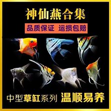 ���~�~���~�����Ꭷ�^�p�~С���~��ī���߲��~�߲��~