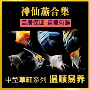 ���~�~���~�����Ꭷ�^�p�~С���~��ī���߲��~�߲��~