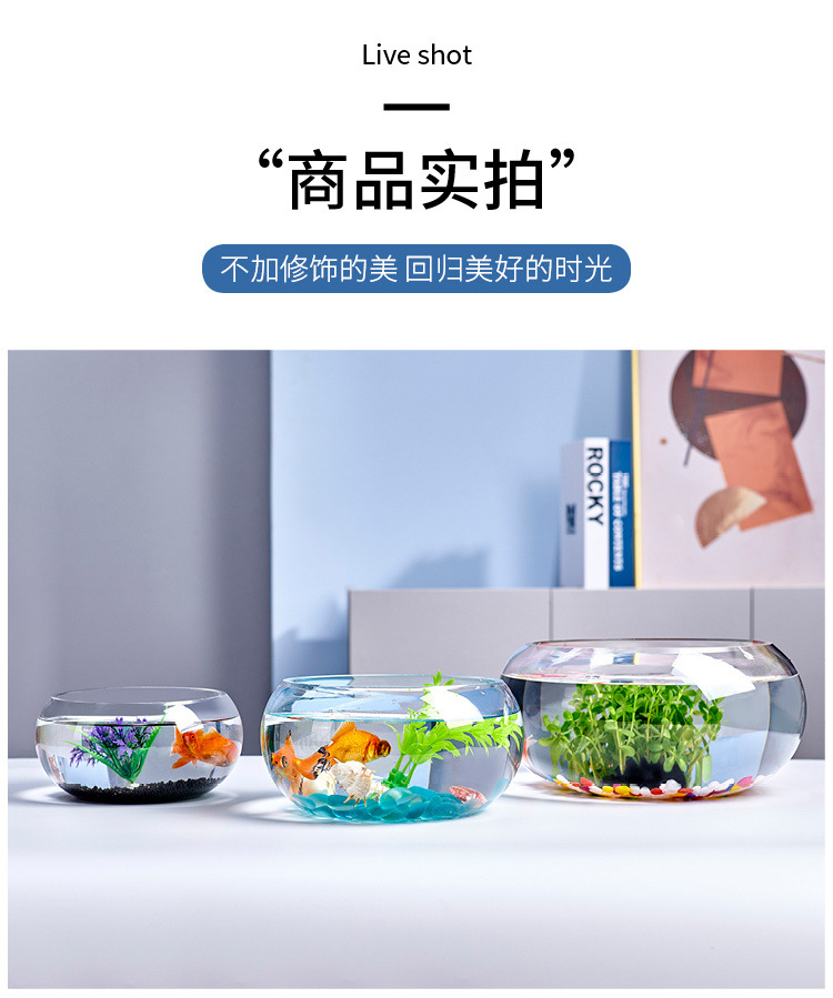 e35e571b-cdf6-4060-996e-27f1bf84e223.jpe