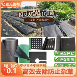 纺粘无纺布;工农业塑料;其他园林资材