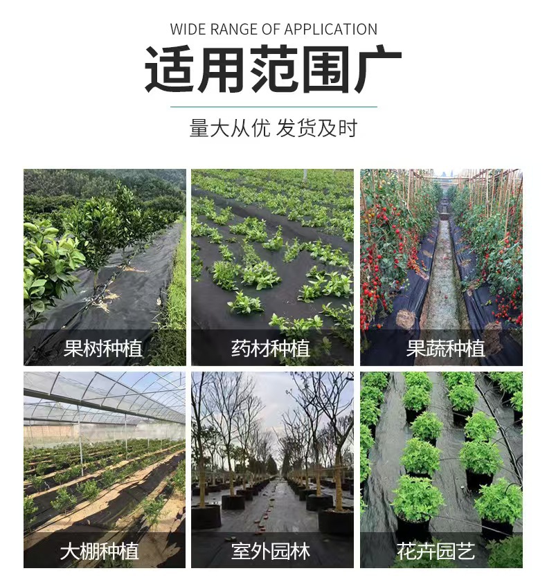 O1CN01qEuV8g1CofjSR79Ad_!!2213307740128-0-cib.jpg?__r__=1741155719150