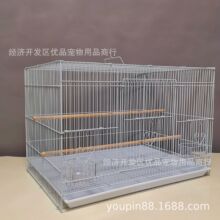 基础鸟笼 达洋批发鸟笼 群鸟笼 大方鸟笼 加粗繁殖鸟笼 批发鸟笼