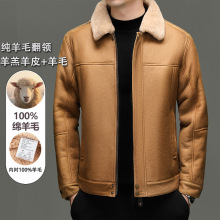 ��ʿ������ƤƤ��100%���Ƥ�A�˼ӽq�Ӻ���ë�ȴ淭�Ië�I����