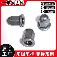 ���S�����Ӹ߷��m�A�^���w����ĸ ������ĸ���m���L�w����ĸ��ñ