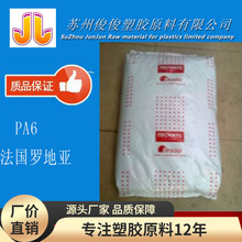 ������ǿ �͸��� ��ĥ����PA6/ �����޵���/C 216 V30 ����PA6ԭ