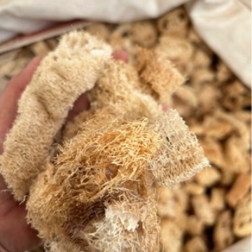 优惠批发丝瓜络各种规格无硫自产自销丝瓜络