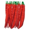 Factory wholesale pepper seeds 8819 red -line pepper dried pepper and fresh pepper two -purpose seed seeds spicy spring season vegetable seed species