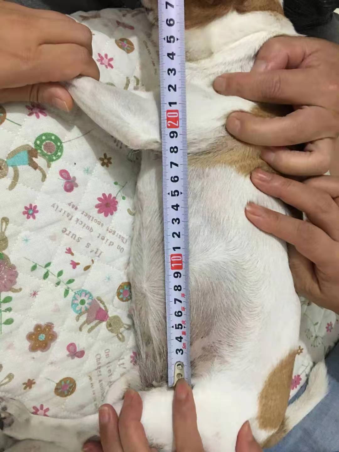 微信图片_20230518115518