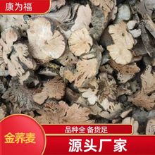 金荞麦 荞麦根 金锁银开 中药材金荞麦 代打粉 各种冷背