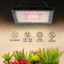 �羳ȫ����ledֲ�ﲹ���400W���⻨����ֲͶ��Ʒ�̫����������