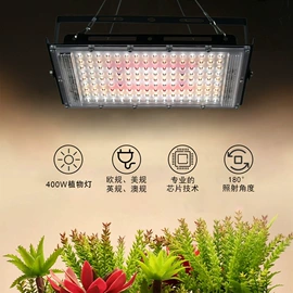 植物生长灯;舞台灯;投光灯