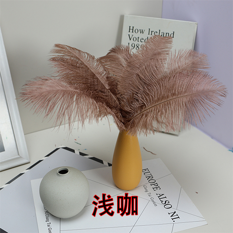 Plumas de avestruz bodas blancas de avestruz guía de plumas accesorios de fotos adornos rojo rosado en línea grandes plumas decoración
