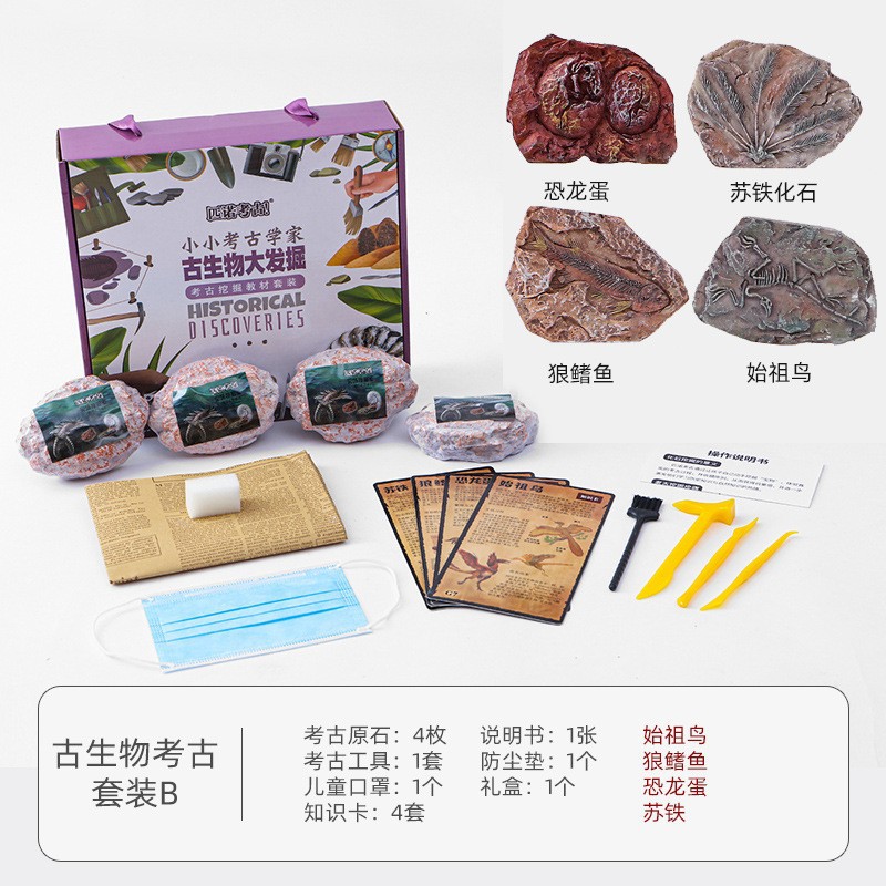 [과학 대중화 교육] 고생물학 시리즈 B의 세트 (16 개의 전체 상자를 촬영하는 것이 더 비용 효율적입니다)