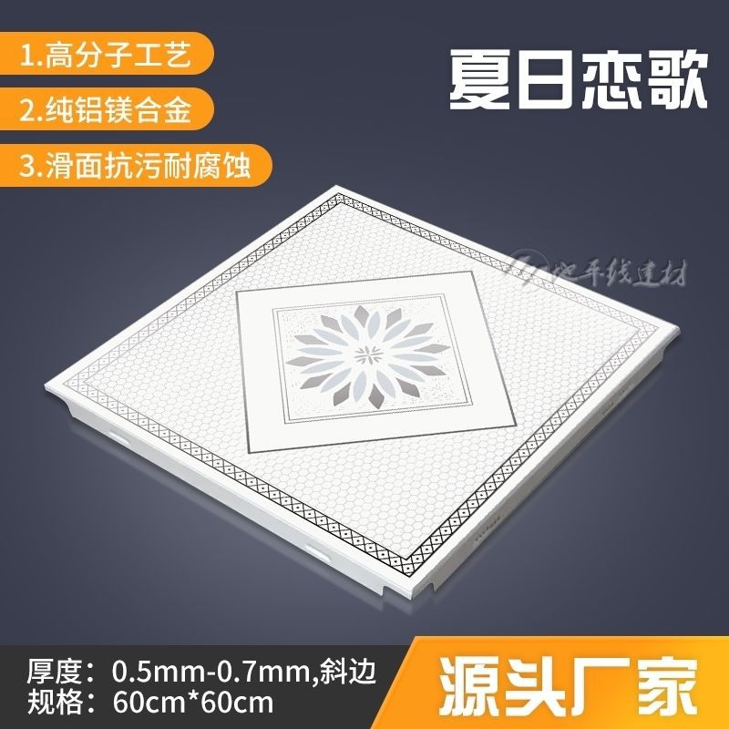 여름 사랑 노래